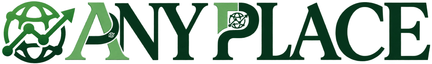 AnyPlace — Global IT Services Company